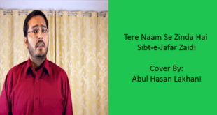 Tere Naam Se Zinda Hai Sibt-e-Jafar Cover