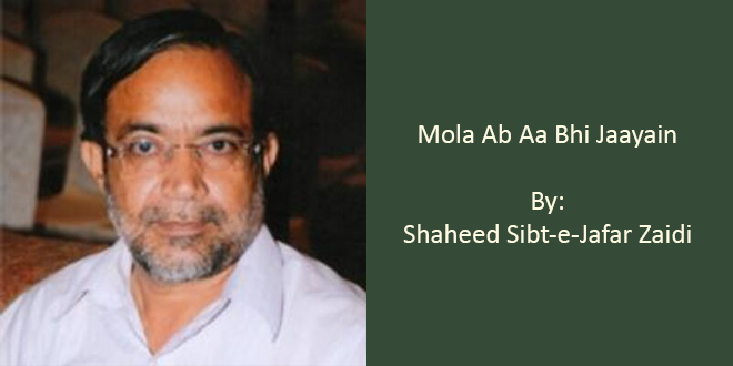 Mola Ab Aa Bhi Jaayain - Sibt-e-Jafar