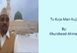Tu Kuja Man Kuja - Khursheed Ahmad 26 Tu Kuja Man Kuja - Khursheed Ahmed