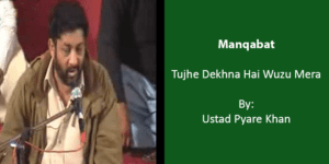 Tujhe Dekhna Hai Wuzu Mera – Ustad Pyare Khan