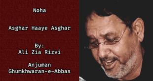 Asghar Haaye Asghar - Ali Zia Rizvi