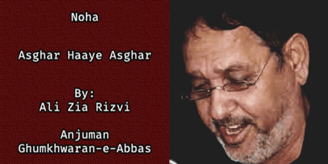Asghar Haaye Asghar - Ali Zia Rizvi