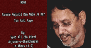 Nannhe Mujahid Ran Mein Ja Kar Tum Nahi Aaye - Syed Ali Zia Rizvi