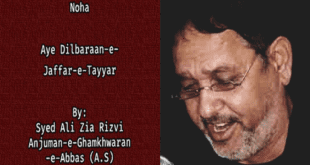 Aye Dilbaraan-e-Jaffar-e-Tayyar - Ali Zia Rizvi