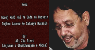 Goonj Rahi Hai Ye Sada Ya Hussain - Ali Zia Rizvi