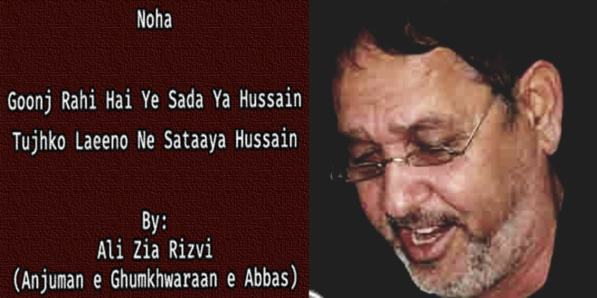 Goonj Rahi Hai Ye Sada (Noha) – Ali Zia Rizvi Vol. 1