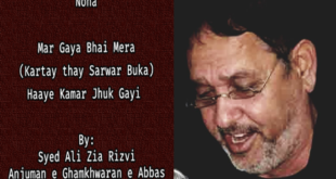 Kartay Thay Sarwar Buka - Mar Gaya Bhai Mera - Ali Zia Rizvi