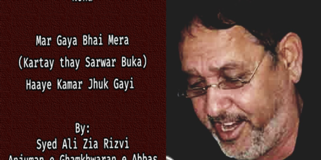 Kartay Thay Sarwar Buka (Noha) – Ali Zia Rizvi Vol. 6