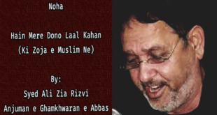 Hain Mere Dono Laal Kahan - Ali Zia Rizvi