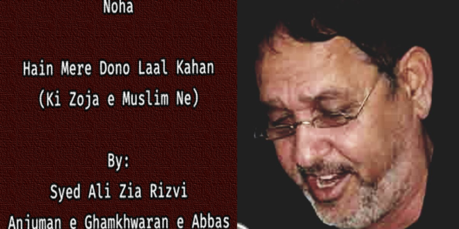 Hain Mere Dono Laal Kahan – Ali Zia Rizvi Vol 3