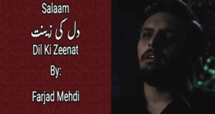Dil Ki Zeenat - Farjad Mehdi