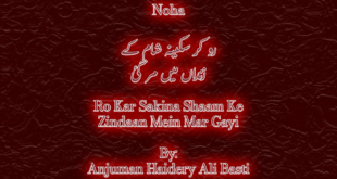 Ro Kar Sakina Shaam Ke - Anjuman Haidery Ali Basti