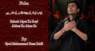 Zainab Lipat Ke Royi - Syed Muhammad Raza Zaidi